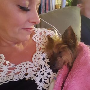 Meet your Posher, Heidi